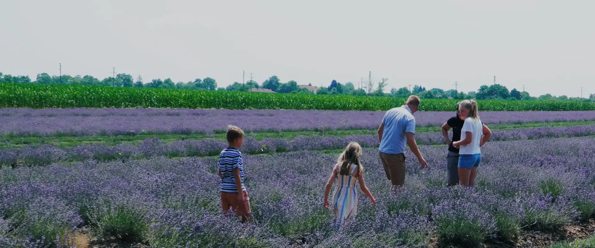 Natural Ingredients with Farm-Direct Transparency