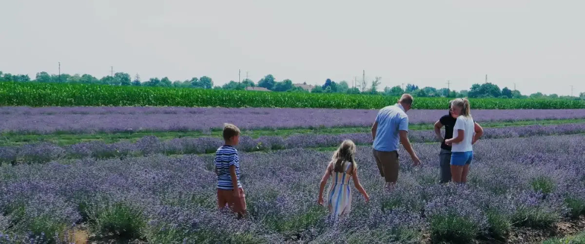 Natural Ingredients with Farm-Direct Transparency