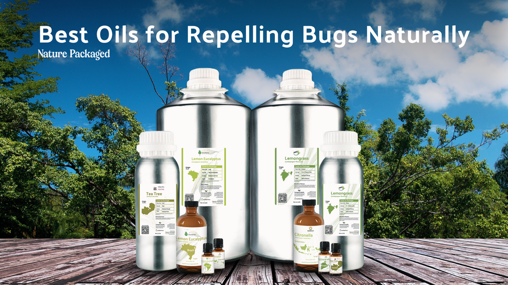 Bye Bye Bugs: Best Oils for Repelling Bugs Naturally