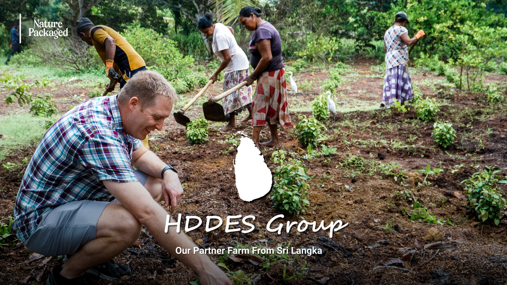 HDdeS: Where Cinnamon Meets Craft, Culture, and Care