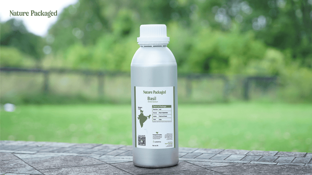 Basil Essential Oil: Crisp, Herbaceous, and Full of Life - Nature Packaged