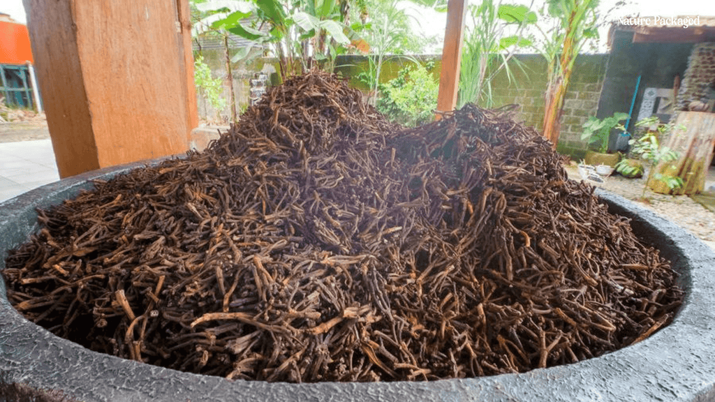 Clove Essential Oil from Nature Packaged - Nature Packaged