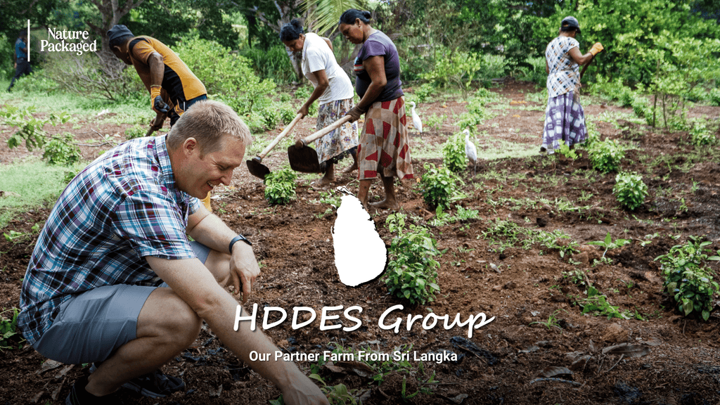 HDdeS: Where Cinnamon Meets Craft, Culture, and Care - Nature Packaged