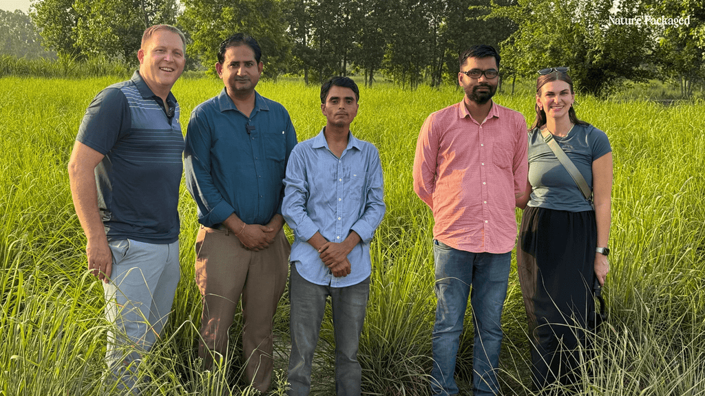 Lemongrass Essential Oils from Norex Flavours - Nature Packaged