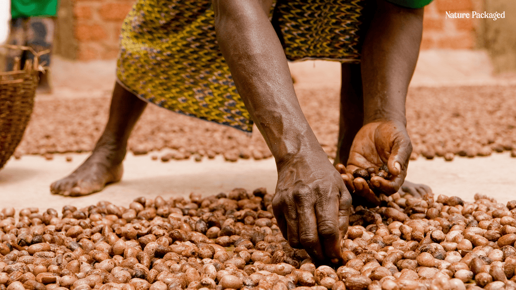 Shea Butter from African Shea Butter - Nature Packaged