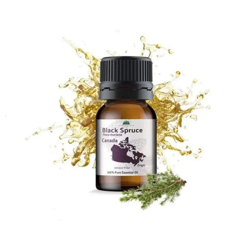 Nature Packaged Black Spruce Essential Oil