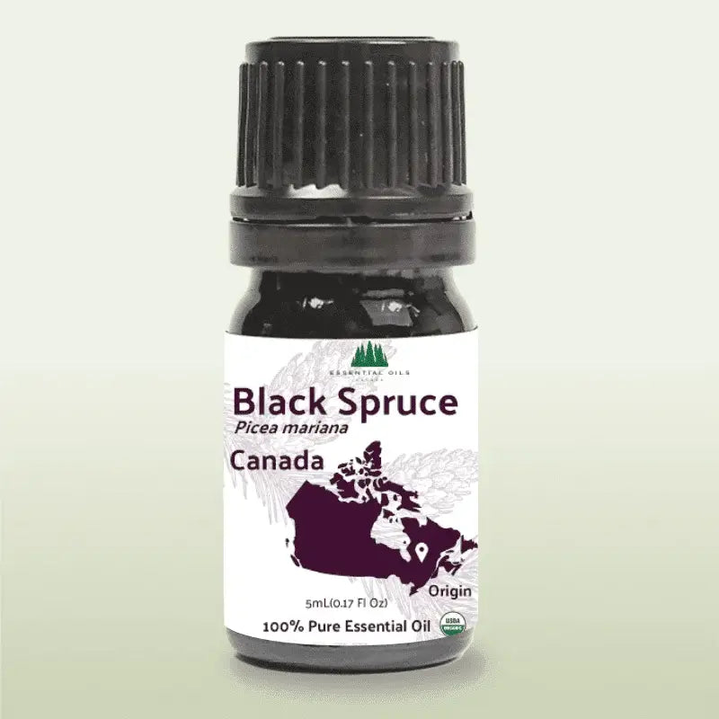 Nature Packaged Black Spruce Essential Oil