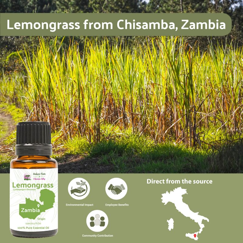 Nature Packaged Lemongrass Essential Oil