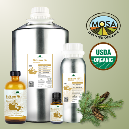 Organic Balsam Fir Essential Oil - From Essential Oils Canada