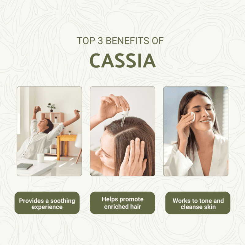 Nature Packaged Cassia Essential Oil 