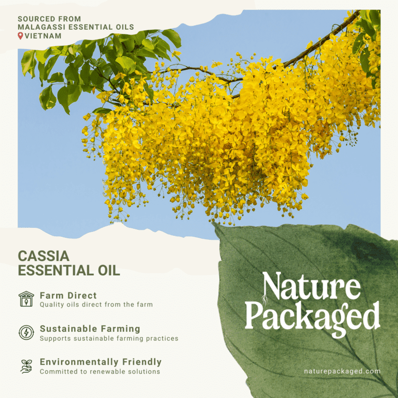 Nature Packaged Cassia Essential Oil 