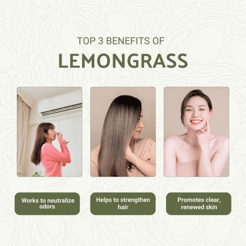 Lemongrass Essential Oil- Norex Flavours