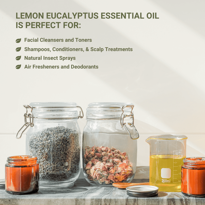 Lemon Eucalyptus Essential Oil - Eucaliptus