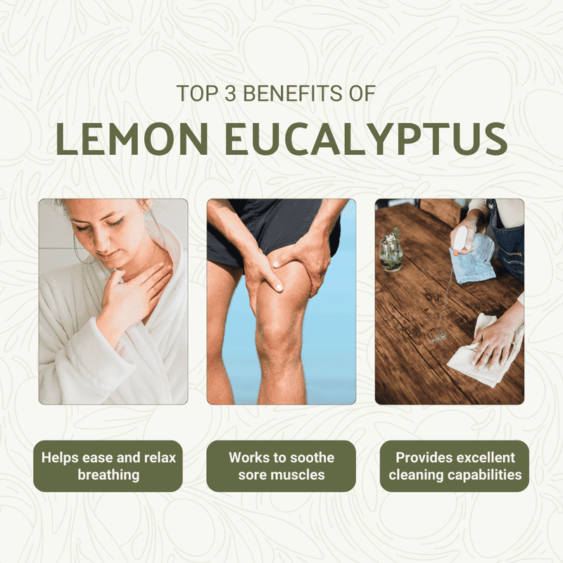 Lemon Eucalyptus Essential Oil - Eucaliptus