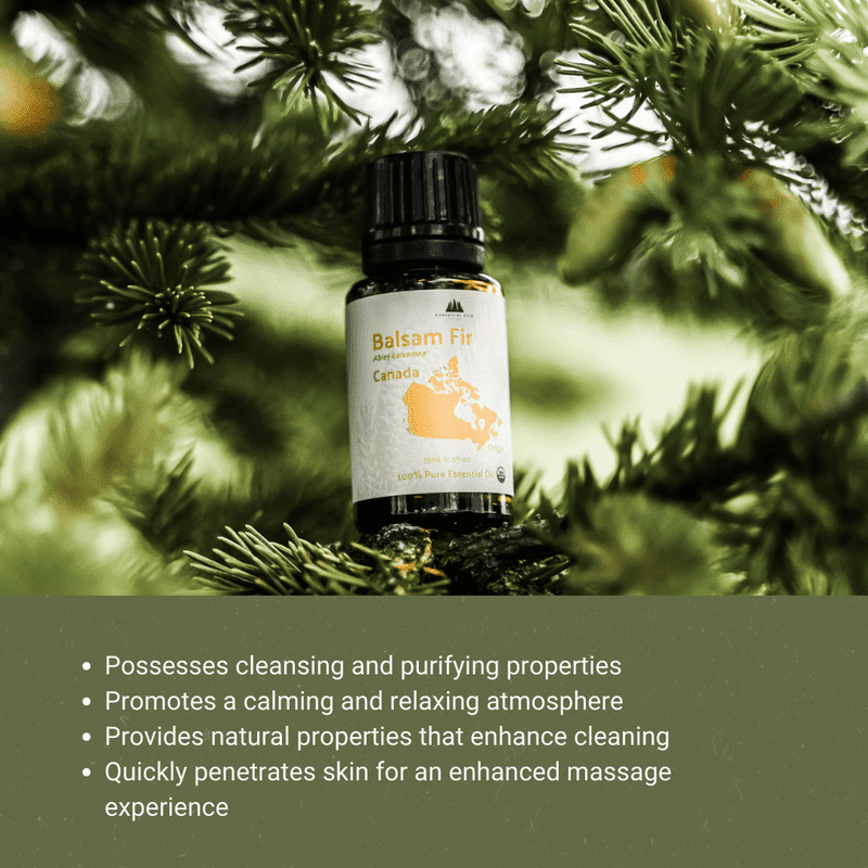 Organic Balsam Fir Essential Oil - Essential Oils Canada