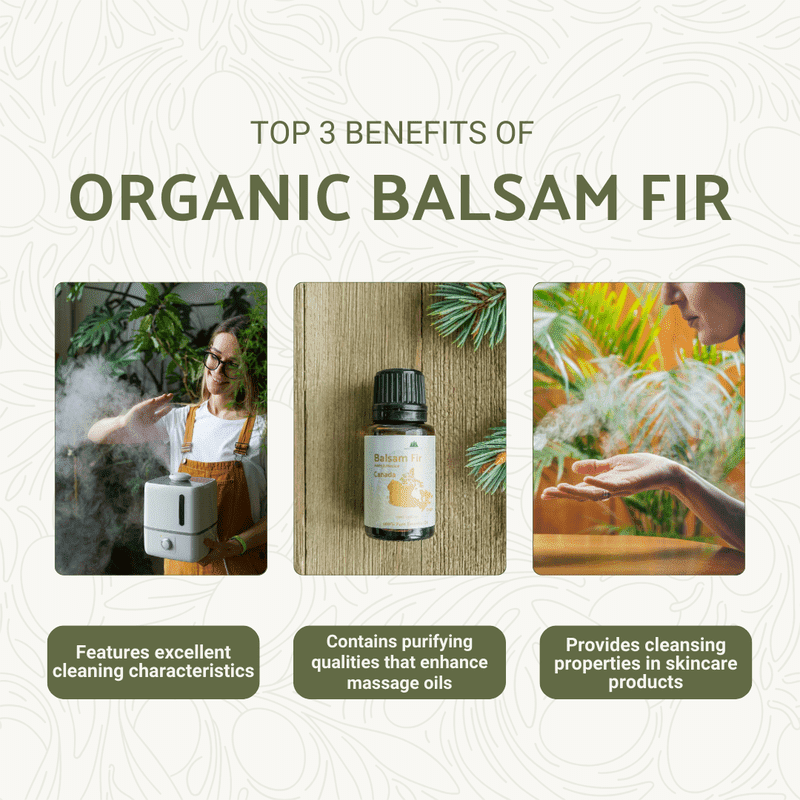 Organic Balsam Fir Essential Oil - Essential Oils Canada