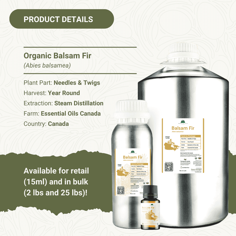 Organic Balsam Fir Essential Oil - Essential Oils Canada