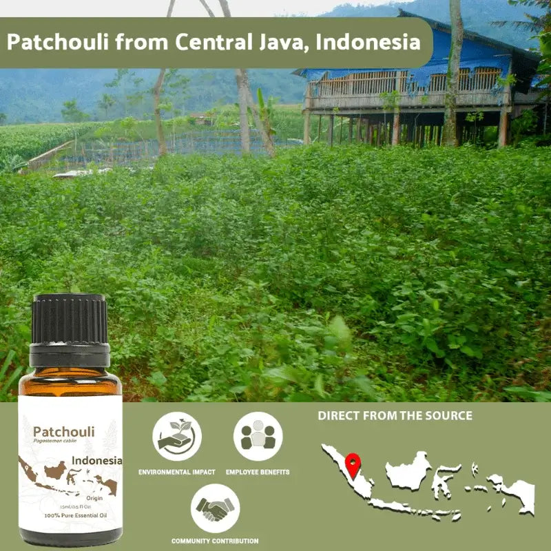 Nature Packaged Patchouli Essential Oi