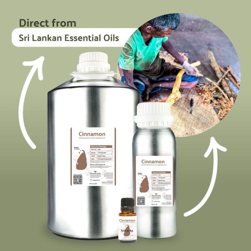 Nature Packaged Cinnamon Leaf Essential Oil