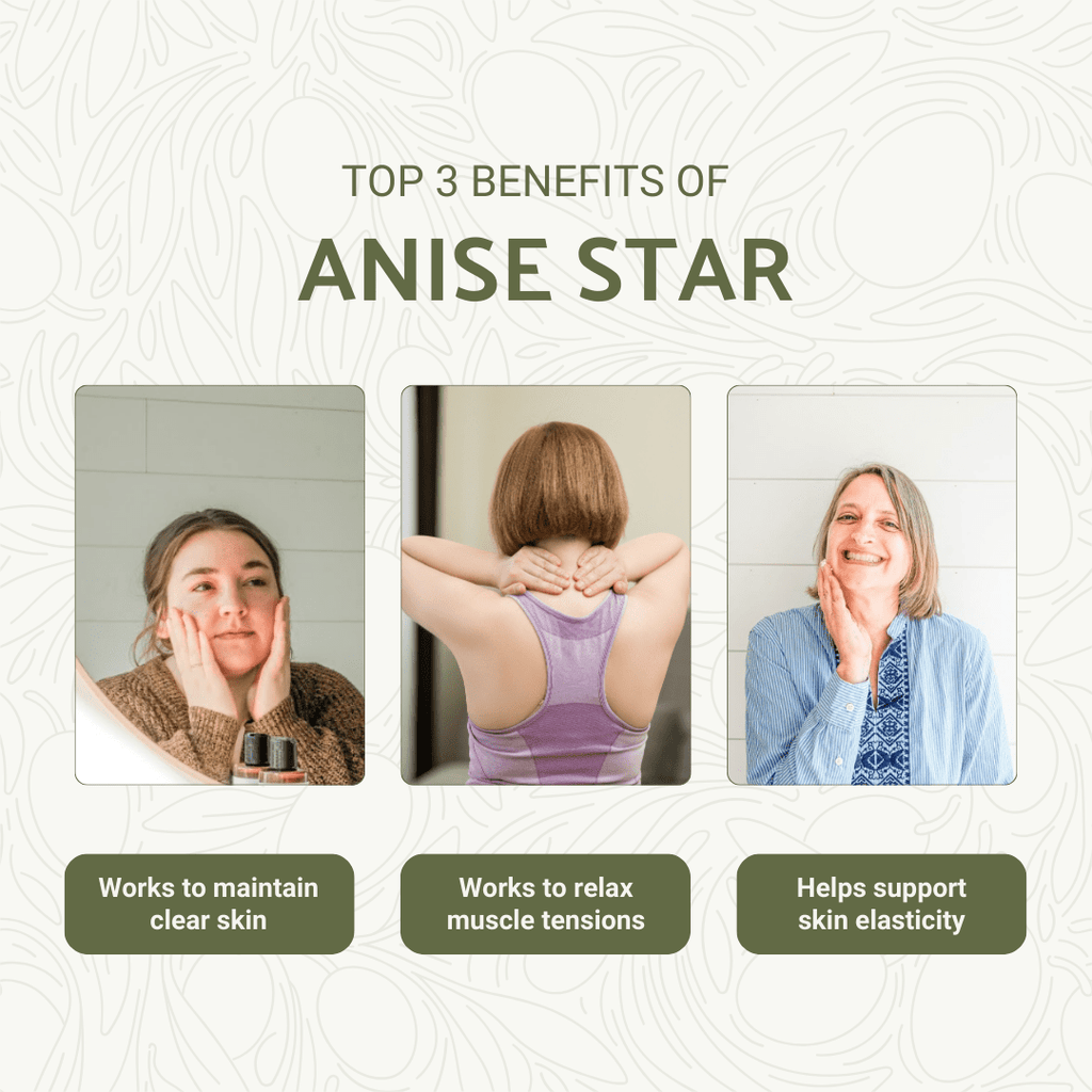 Anise Star Essential Oil - From Malagassi Essential Oils - Nature Packaged