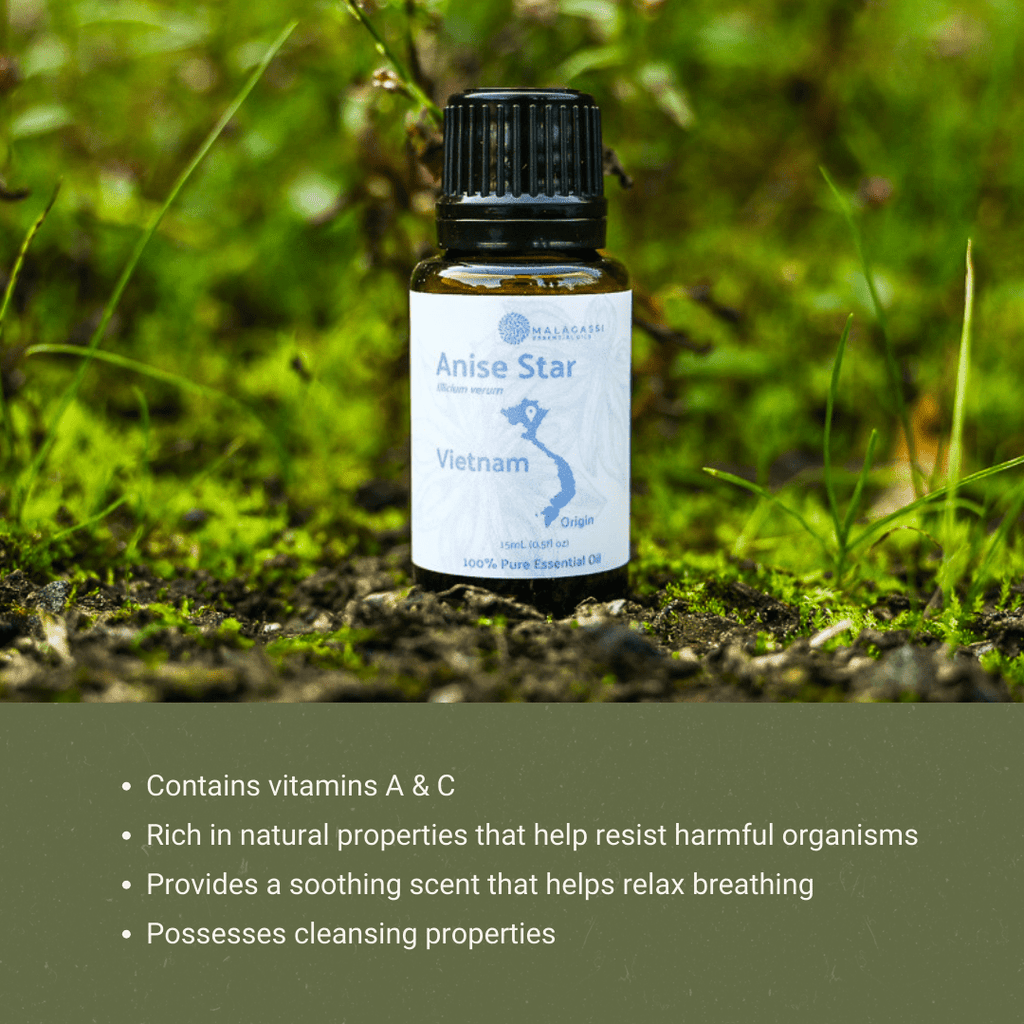Anise Star Essential Oil - From Malagassi Essential Oils - Nature Packaged