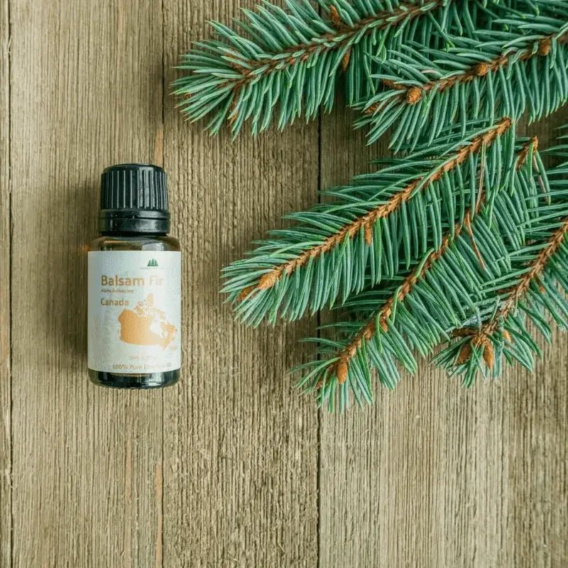 Balsam Fir Essential Oil - From Essential Oils Canada - Nature Packaged