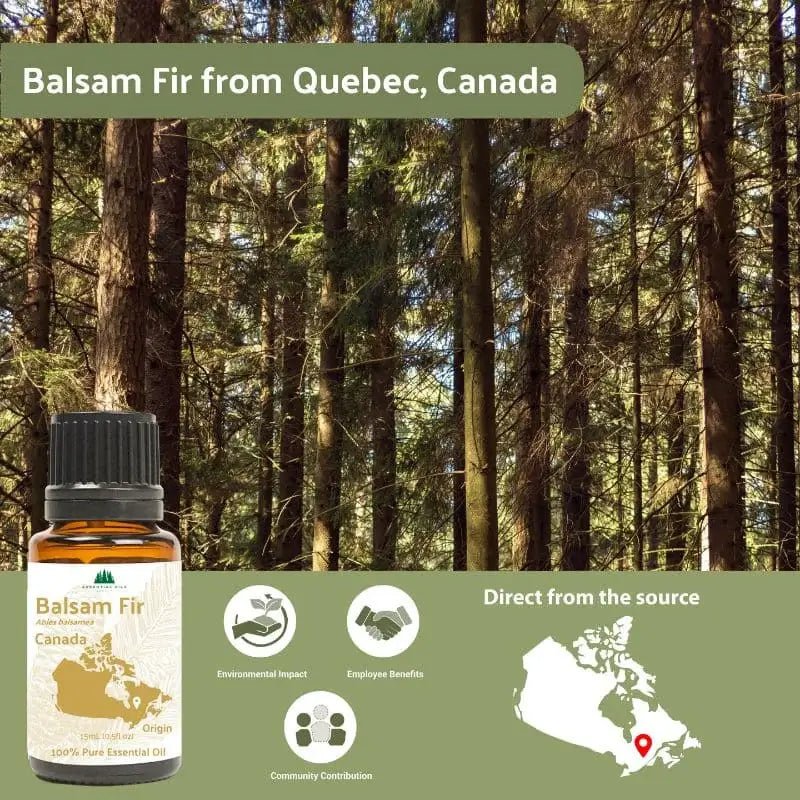 Balsam Fir Essential Oil - From Essential Oils Canada - Nature Packaged