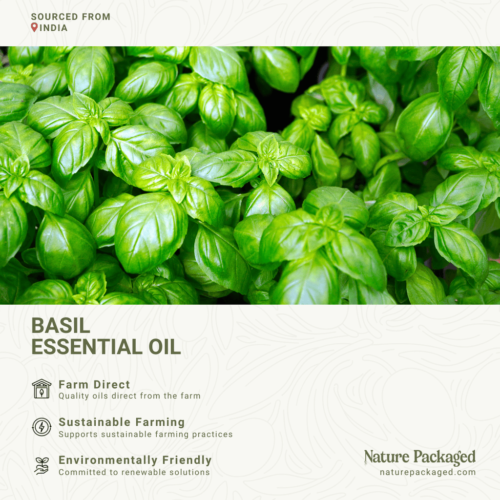 Basil Essential Oil - Nature Packaged