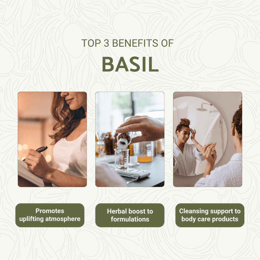 Basil Essential Oil - Nature Packaged