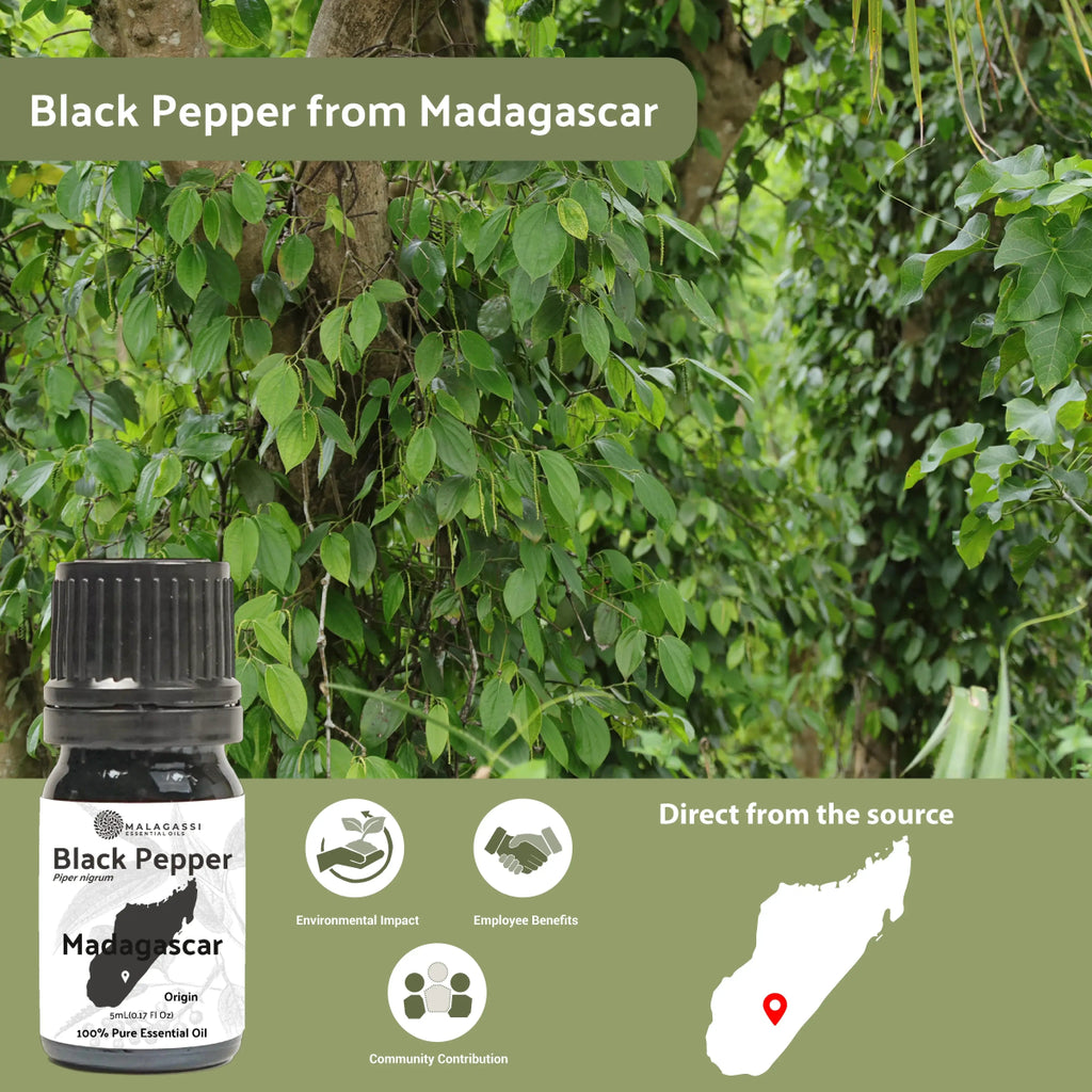 Black Pepper Essential Oil - From Malagassi Essential Oils - Nature Packaged
