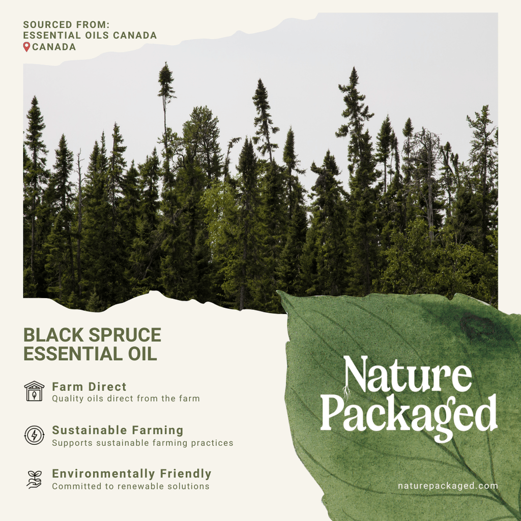 Black Spruce Essential Oil - From Essential Oils Canada - Nature Packaged