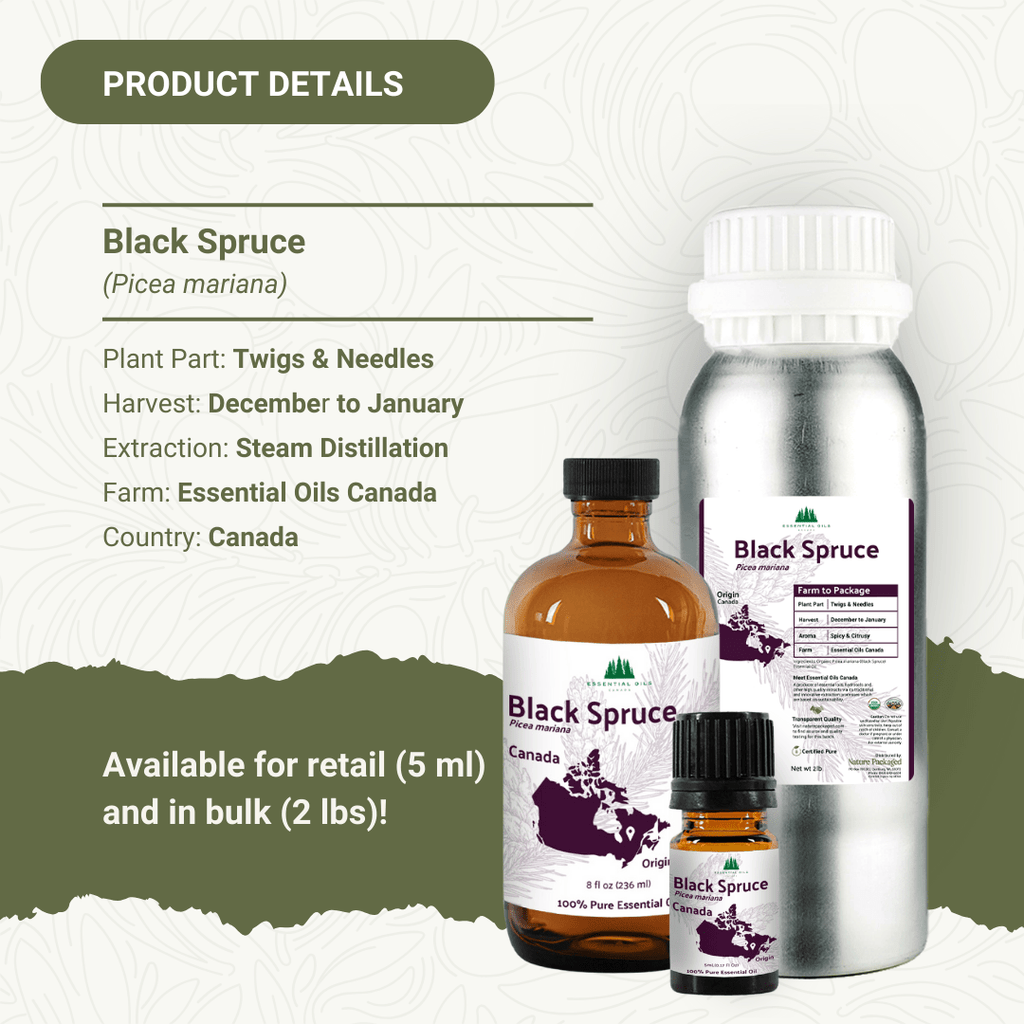 Black Spruce Essential Oil - From Essential Oils Canada - Nature Packaged