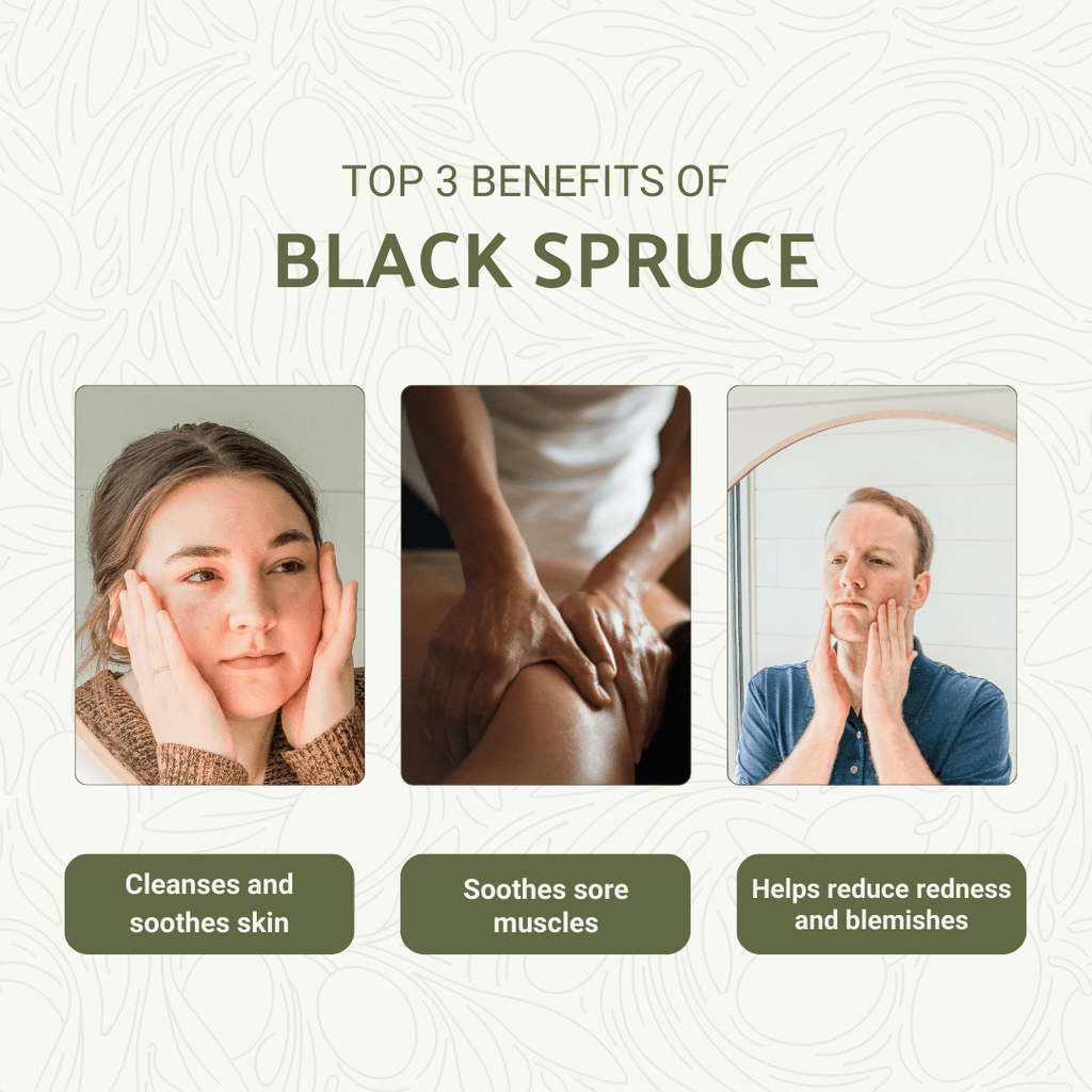 Black Spruce Essential Oil - From Essential Oils Canada - Nature Packaged