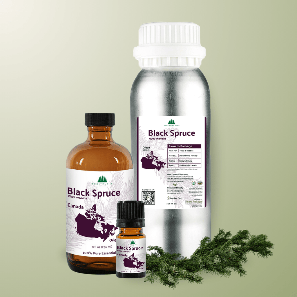 Black Spruce Essential Oil - From Essential Oils Canada - Nature Packaged