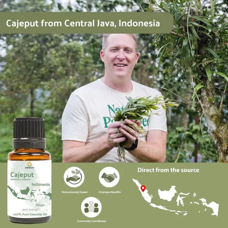 Cajeput Essential Oils - From Indonesian Essential Oils - Nature Packaged