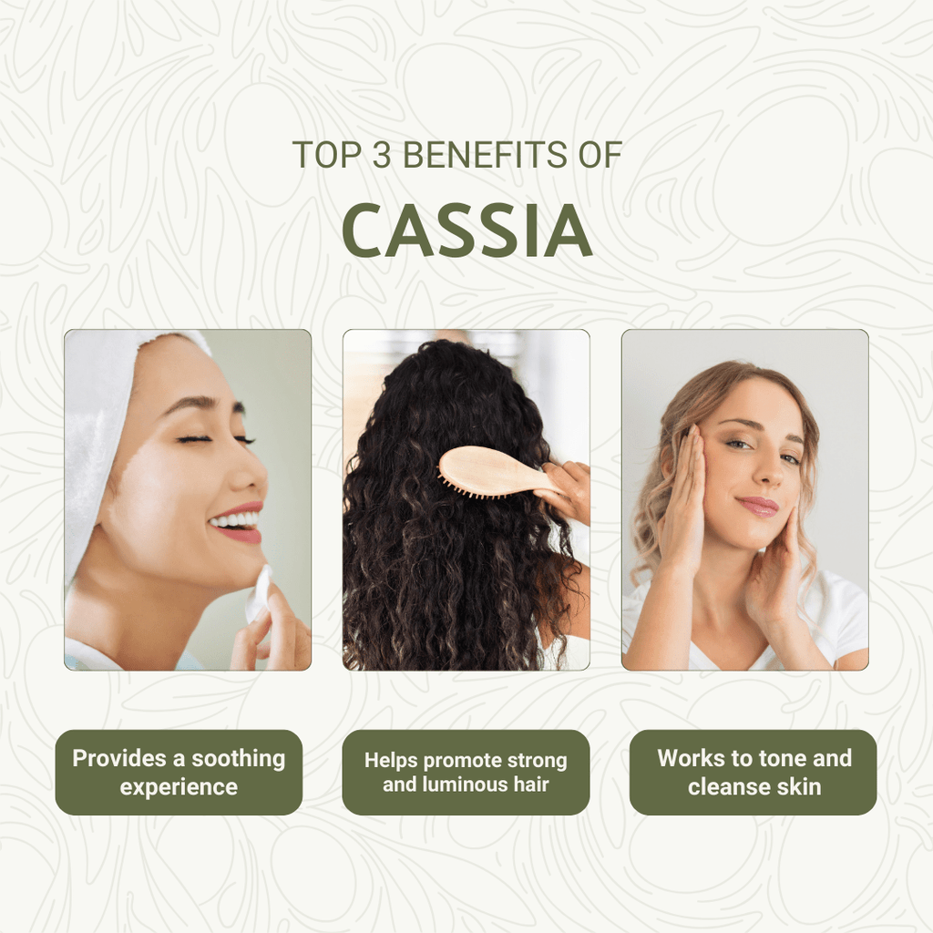 Cassia Essential Oil - From Malagassi Essential Oils - Nature Packaged