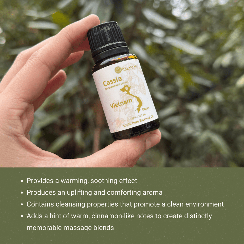 Cassia Essential Oil - From Malagassi Essential Oils - Nature Packaged