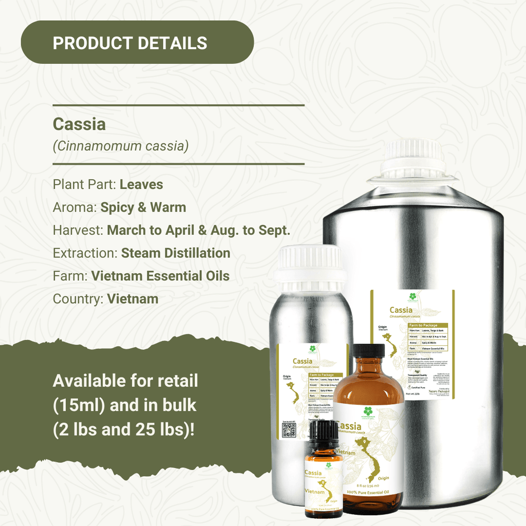 Cassia Essential Oil - From Malagassi Essential Oils - Nature Packaged