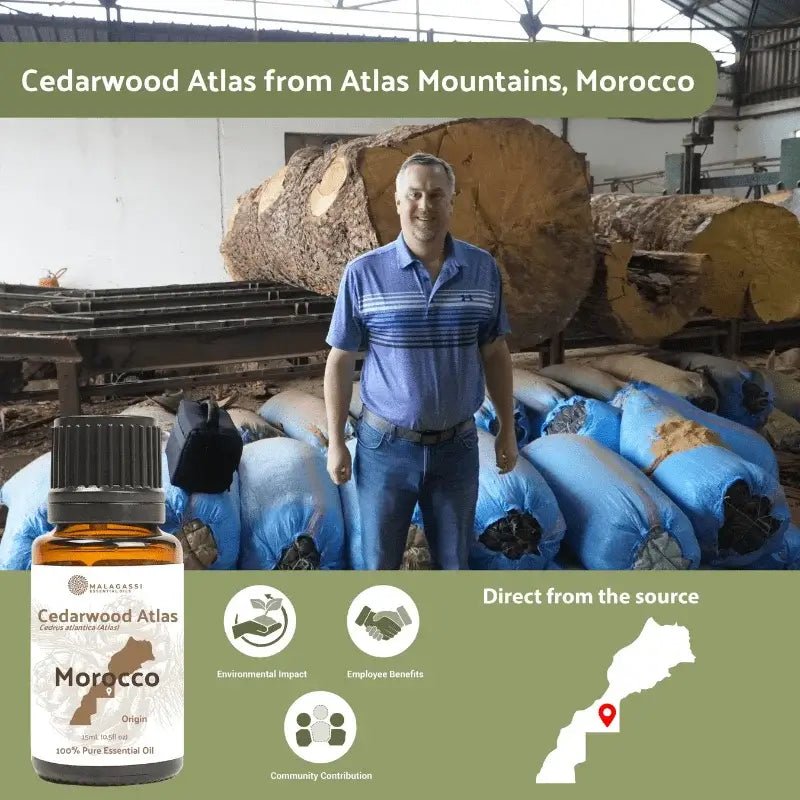 Cedarwood Atlas Essential Oil - From Malagassi Essential Oils - Nature Packaged