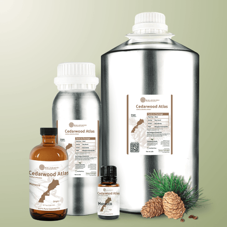 Cedarwood Atlas Essential Oil - From Malagassi Essential Oils