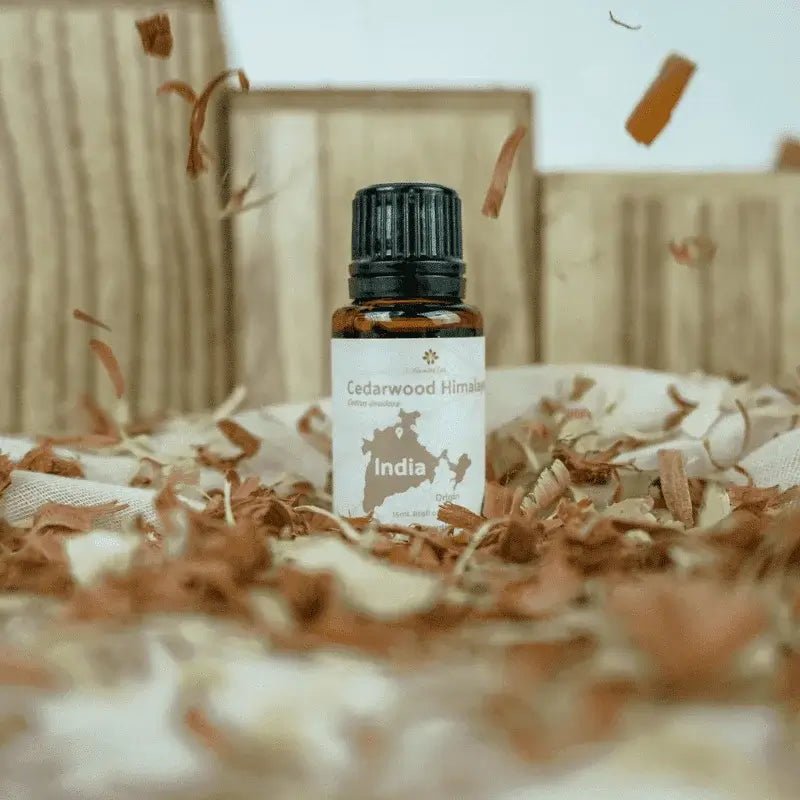 Cedarwood (Himalayan) Essential Oil - From Essential Oils India - Nature Packaged