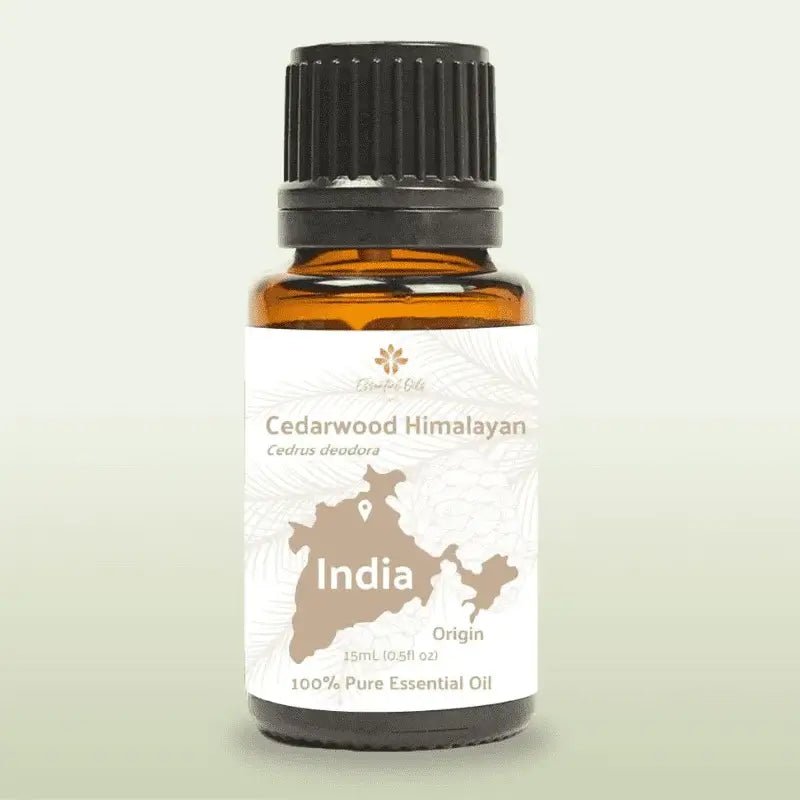 Cedarwood (Himalayan) Essential Oil - From Essential Oils India - Nature Packaged