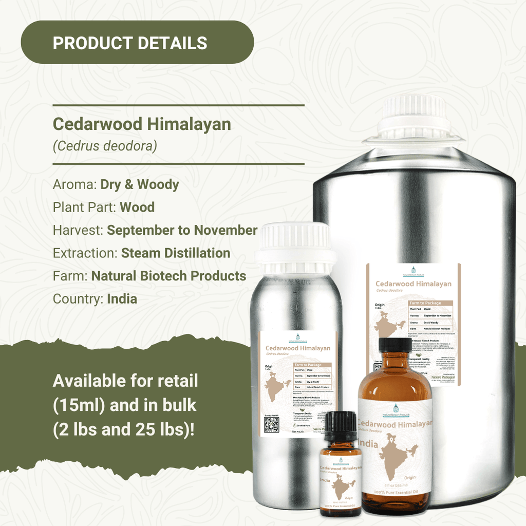 Cedarwood (Himalayan) Essential Oil - From NBT India - Nature Packaged