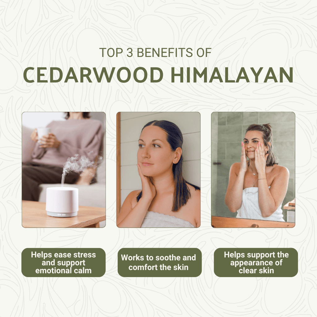 Cedarwood (Himalayan) Essential Oil - From NBT India - Nature Packaged