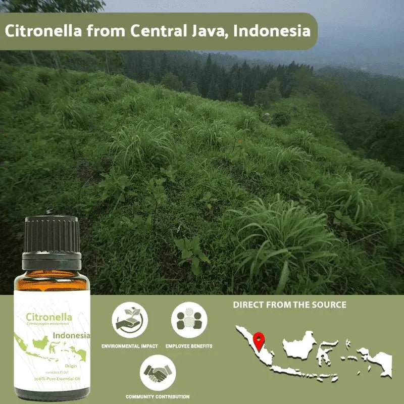 Citronella Essential Oil - From Indonesian Essential Oils - Nature Packaged