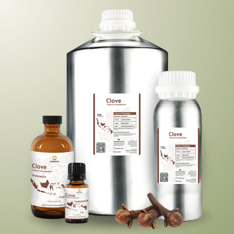 Clove Bud Essential Oil - From Indonesian Essential Oils - Nature Packaged