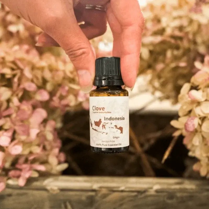 Clove Bud Essential Oil - From Indonesian Essential Oils - Nature Packaged