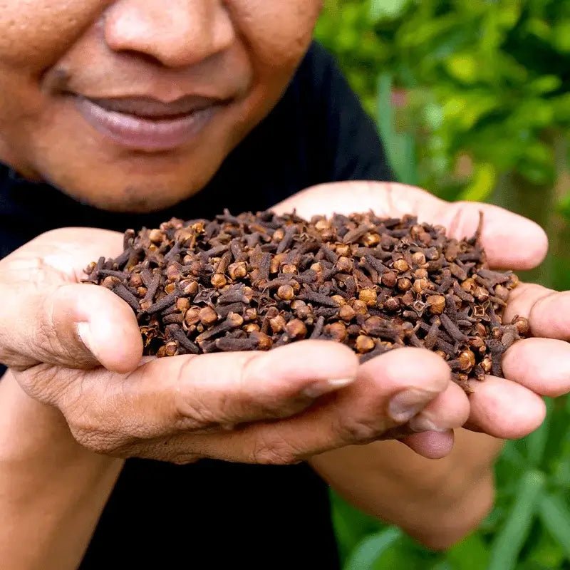 Clove Bud Essential Oil - From Indonesian Essential Oils - Nature Packaged