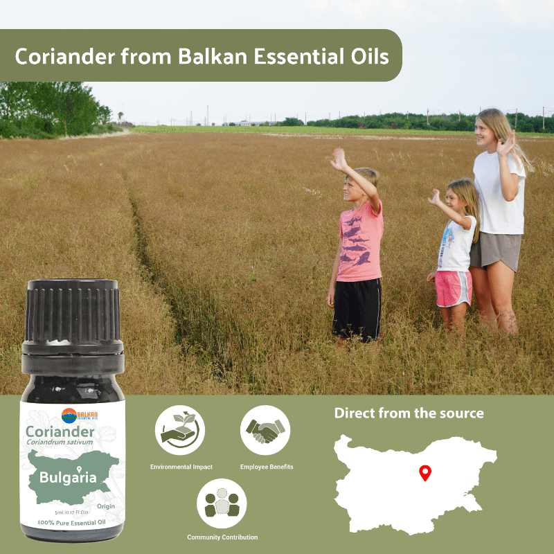 Coriander Essential Oil - From Balkan Essential Oils - Nature Packaged