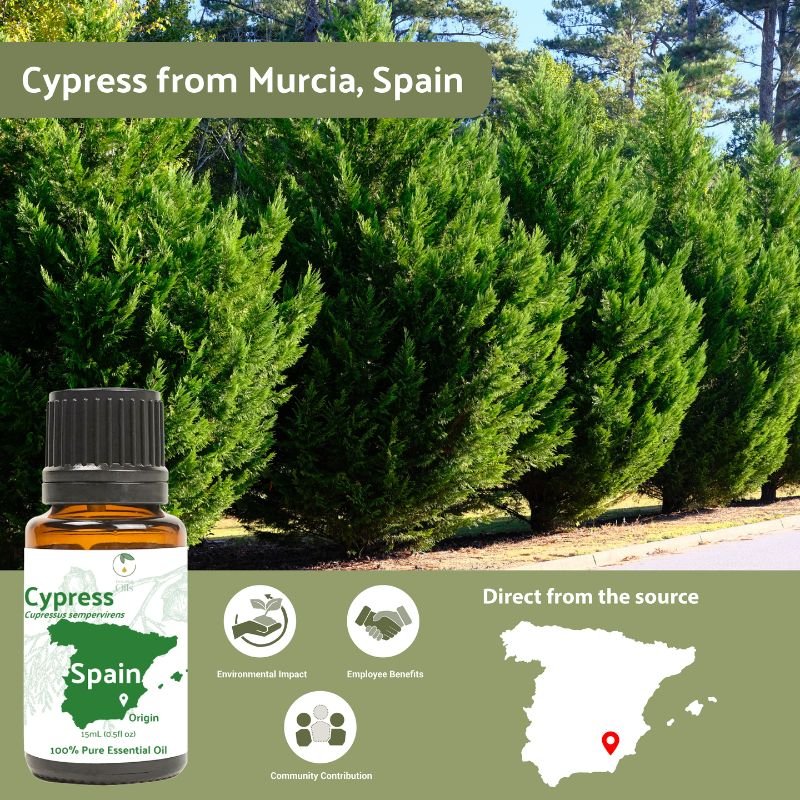 Cypress Essential Oil - From Essential Oils SL - Nature Packaged
